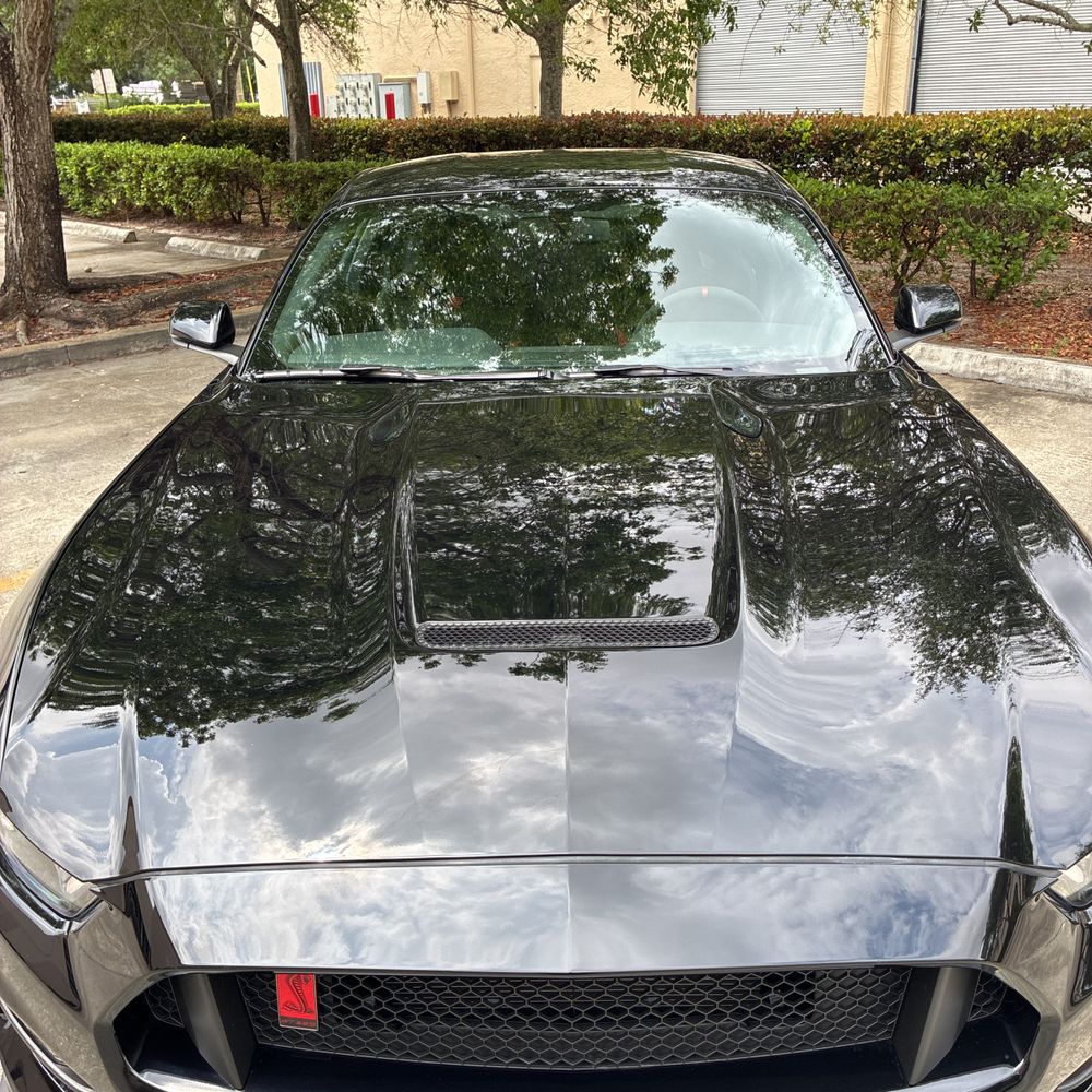 2019 Ford Mustang Shelby GT350R