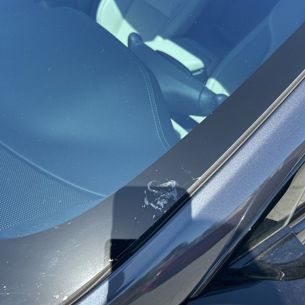 2022 Tesla Model S Plaid