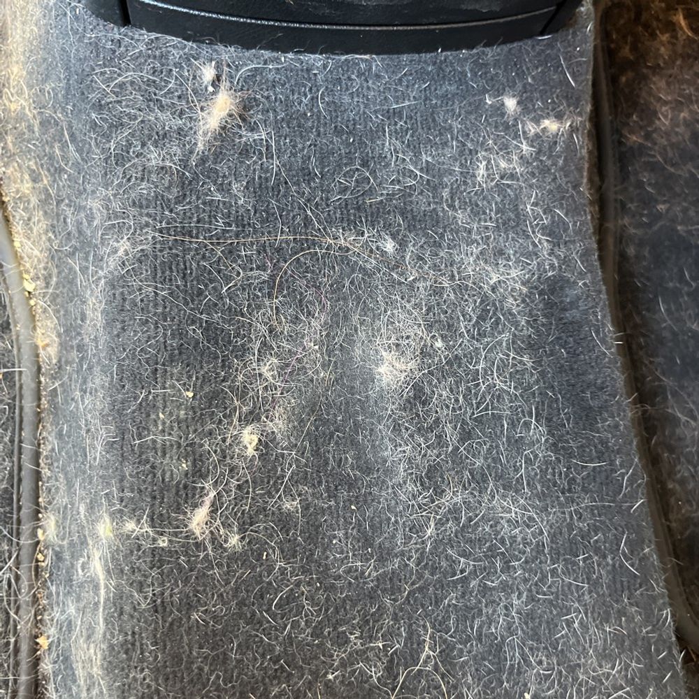 2021 Mercedes-Benz GLS AMG GLS 63