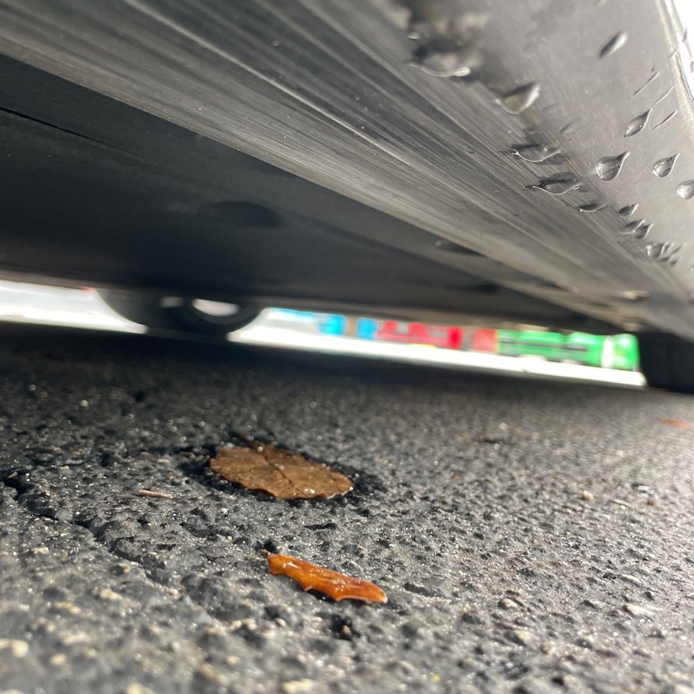 2020 Porsche 911 Carrera 4S