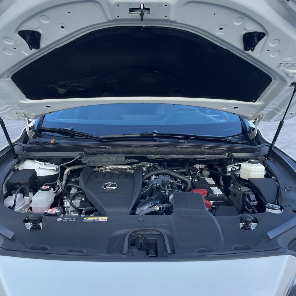 2023 Lexus RX 350 Premium+