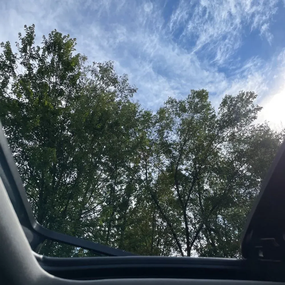 2025 Acura MDX SH-AWD w/Tech